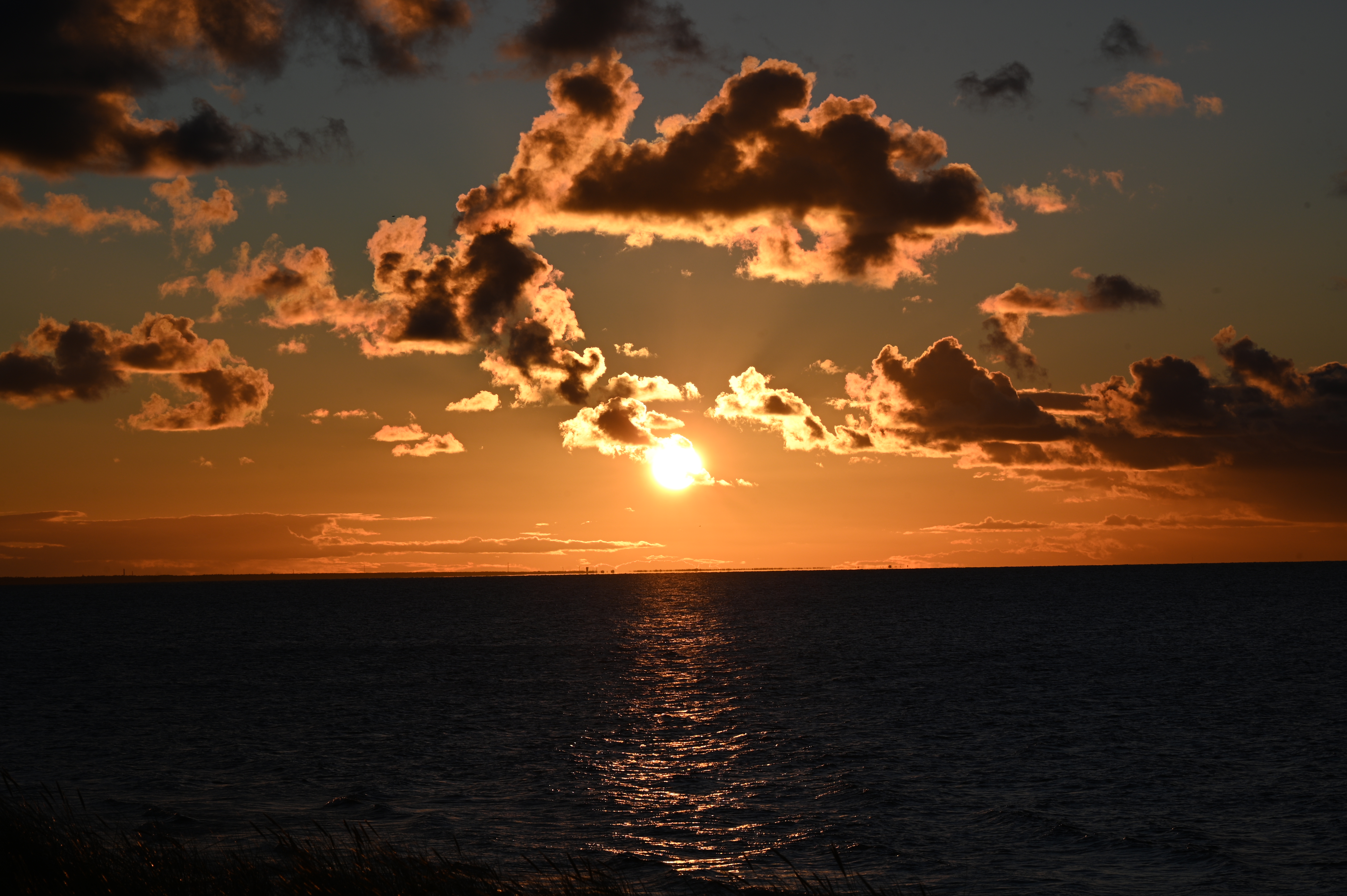 2025/10/18 - walk/DSC_0388.JPG